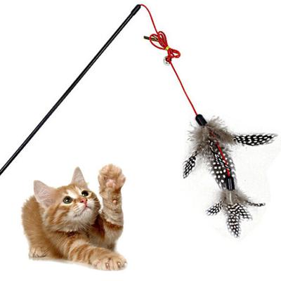 Cat Toy
