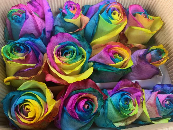 Rainbow