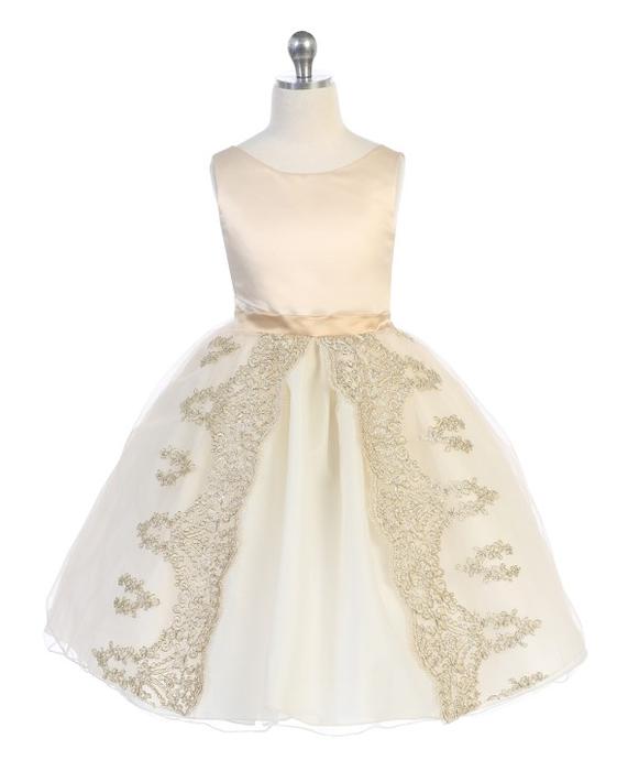 Fancy Embroidered Girl Dresses