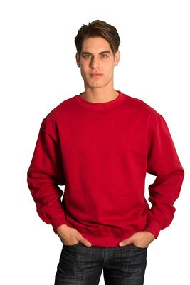 Adult Crew-Neck Sweatshirt