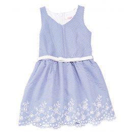 DR1932 Blue Stripe