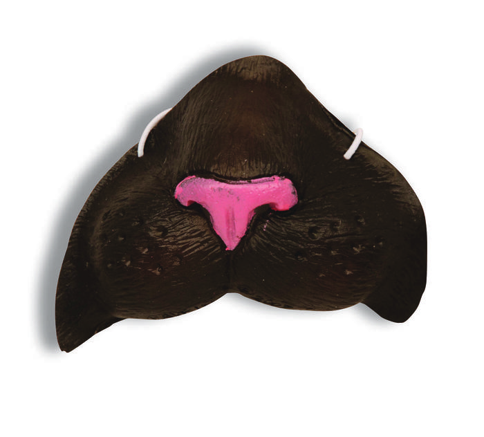 NOSE-BLACK CAT