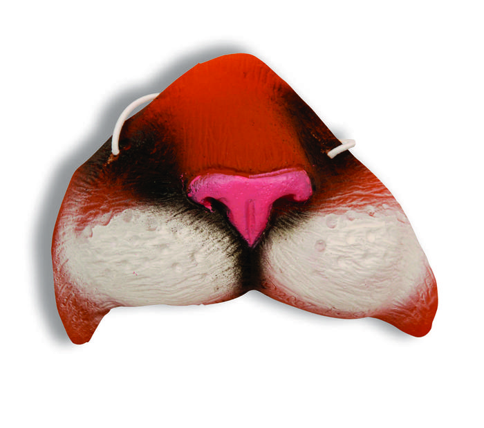 NOSE-ORANGE TIGER