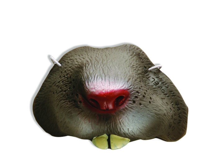 NOSE-MOUSE/RAT