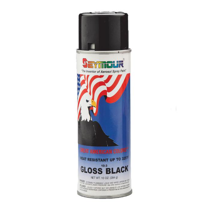 Spray Paint Black Gloss