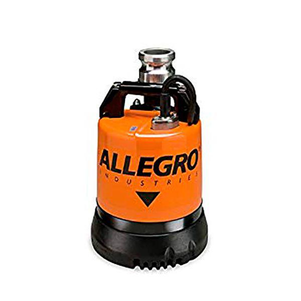 Allegro Low Water Pump, 2/3 HP