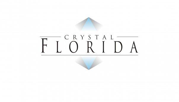 this.src = 'https://s3-us-west-2.amazonaws.com/seebiz-images/img/default-new-logo.svg'