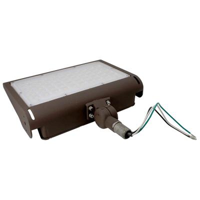 100W 5000K LED Floodlight