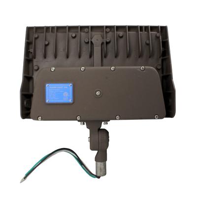 80W 5000K LED Floodlight