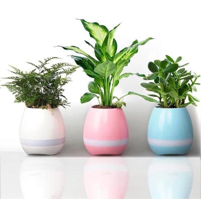 MUSIC FLOWER POT BLUETOOTH SPEAKER