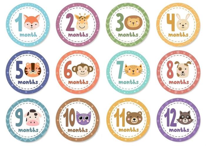 Baby Monthly Stickers - Animal Faces