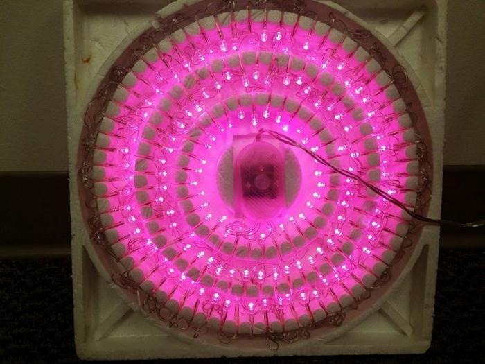 300 Christmas Lights with 8 Funtion Controller- Pink Color