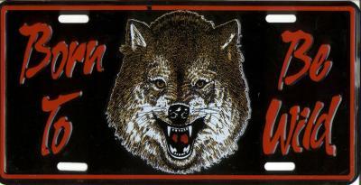 Born To Be Wild 6x12 License Plate