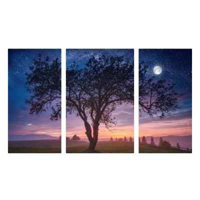 Evening Tree 3 Panel Wall Art