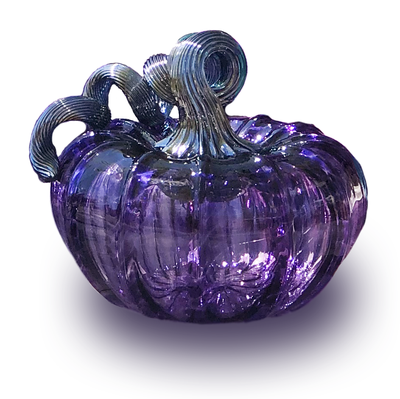 12 Piece Squat Pumpkin Set