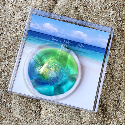 Small 3" Sand Dollar