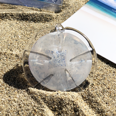 Small 3" Sand Dollar
