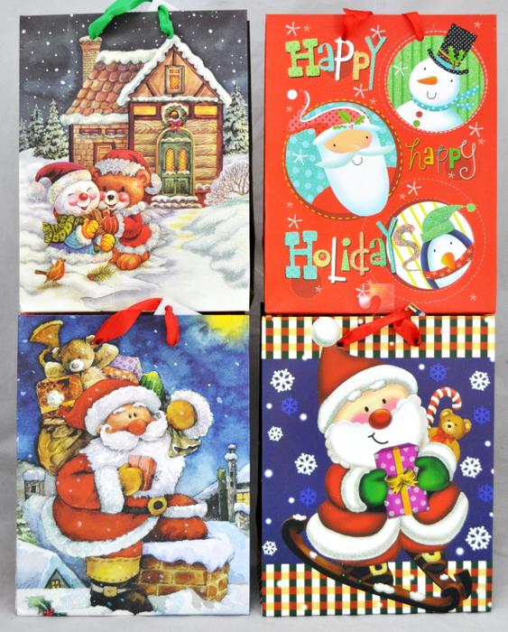 Xmas Color Gift Bag - M