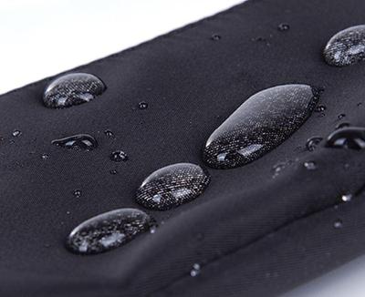 Slim Waterproof Fanny Pack