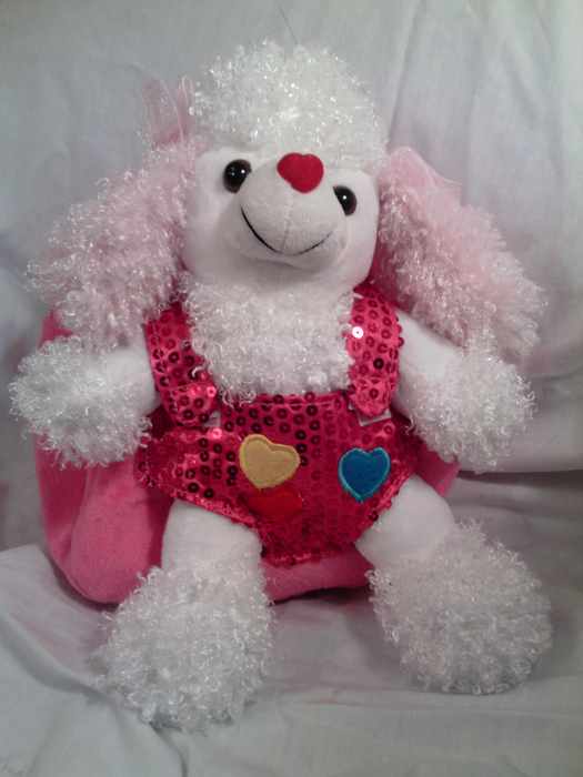 Removable Dog Backpack Hot Pink