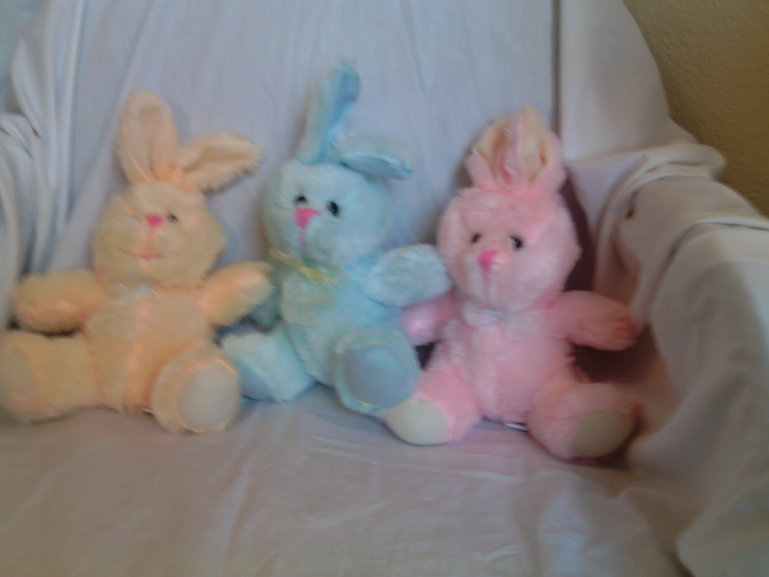 Bunny