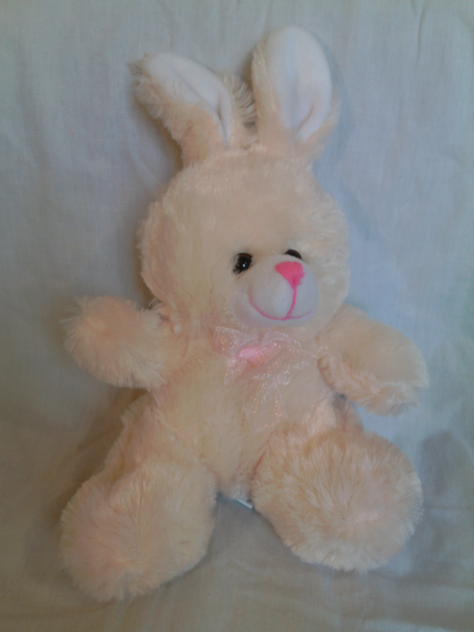 Bunny