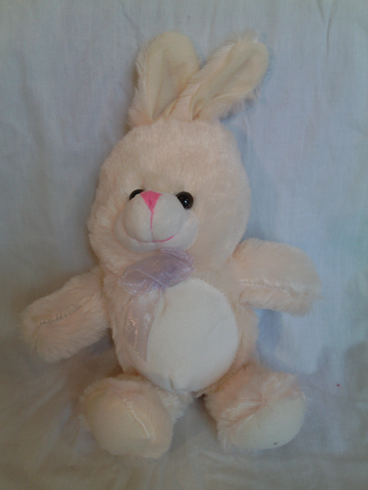 Bunny
