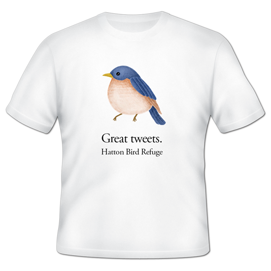Custom T-Shirts - Bulk