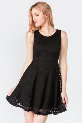 Princess Seam Bodice Lace Dress