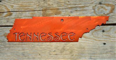 Candy Painted Home State Wall Art