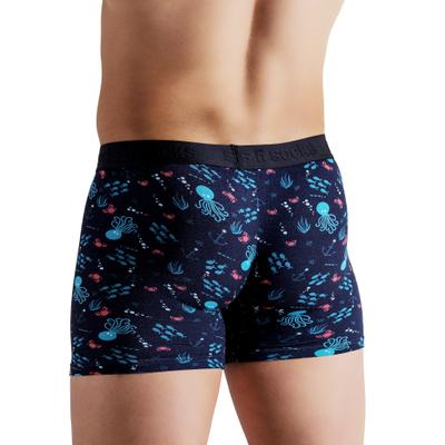 Men's Aquarium Boxer Brief