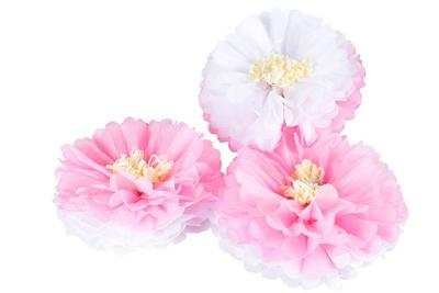 White Pink Dual Color Pompom Flower