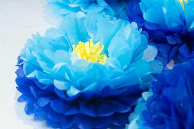 Light Blue & Royal Blue Pom Poms 3pcs