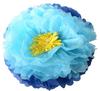 baby Pantie image 1
