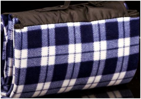 Blue Checked Picnic Blanket