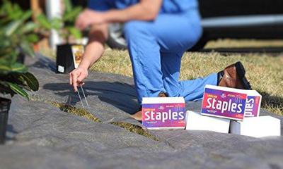 Ashman 6 Inch Landscape Staples, 1,000 pieces