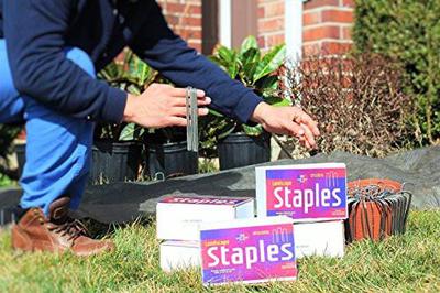 Ashman 6 Inch Landscape Staples, 1,000 pieces