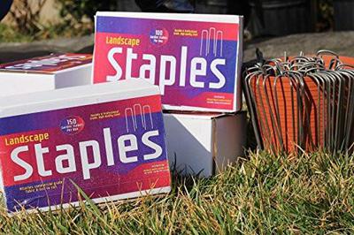 Ashman 6 Inch Landscape Staples, 500 pieces