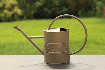 AshmanOnline Bronze Watering Can
