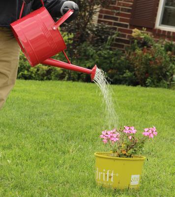 AshmanOnline Red Watering Can