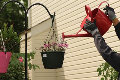 AshmanOnline Red Watering Can