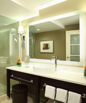 Silhouette LED Lighted Mirror