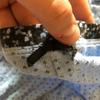 baby Pantie image 1