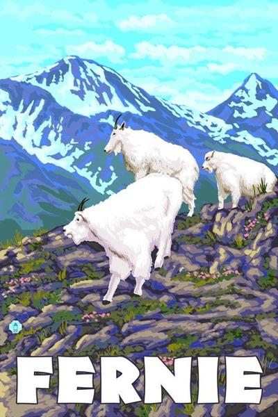 Fernie, Canada - Mountain Goat Family - Lantern Press Original Poster