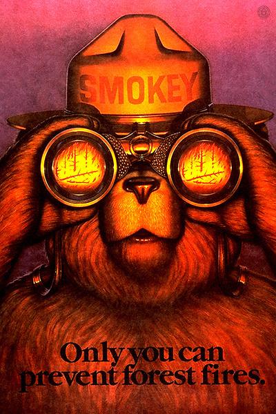 Smokey Bear - Binoculars - Vintage Poster