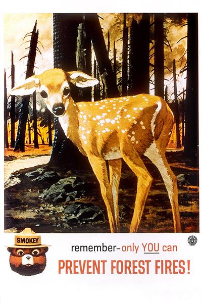 Smokey Bear - Deer - Vintage Poster