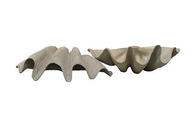 Clam Shell