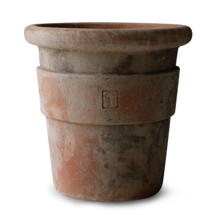 Stemma