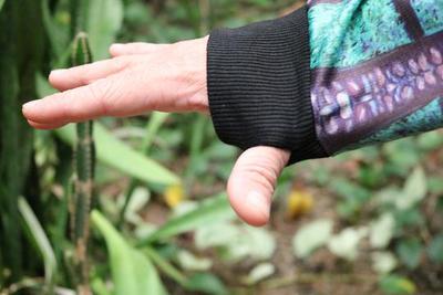 Thin Pullover Hoodie - Gateway Plaza