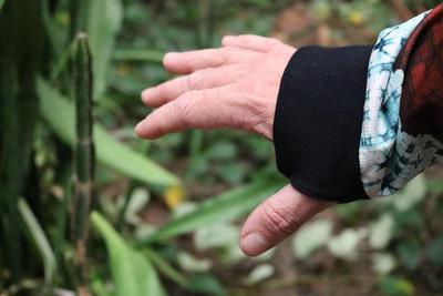 Thin Pullover Hoodie - Sierpinski Hilbert